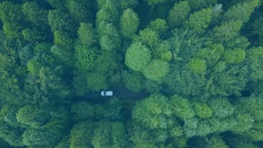 Voluntary Carbon and Nature Markets: the UK's push for raising integrity